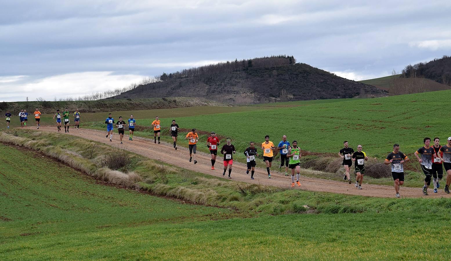 Media Maratón del Camino (III)