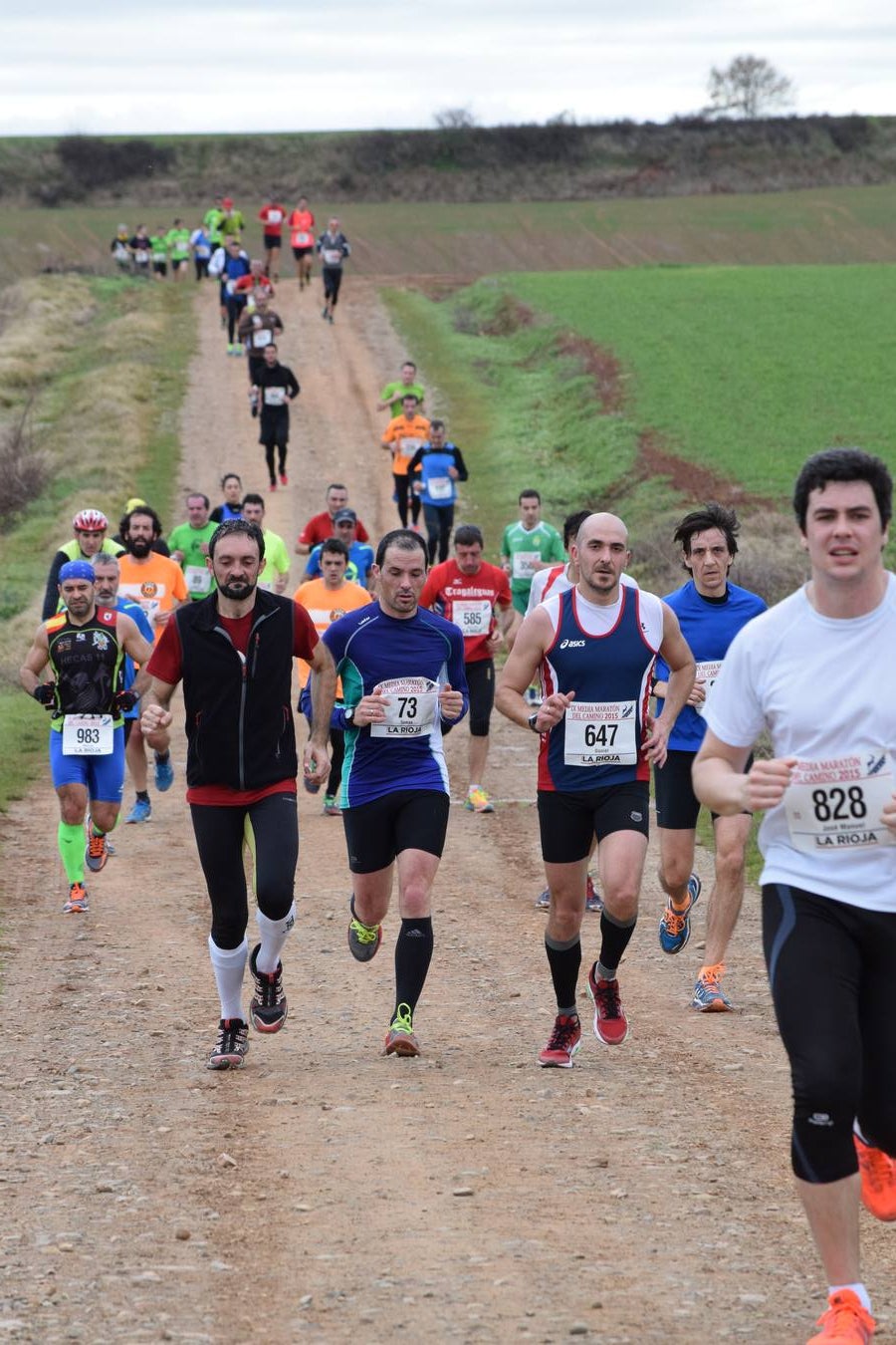 Media Maratón del Camino (III)