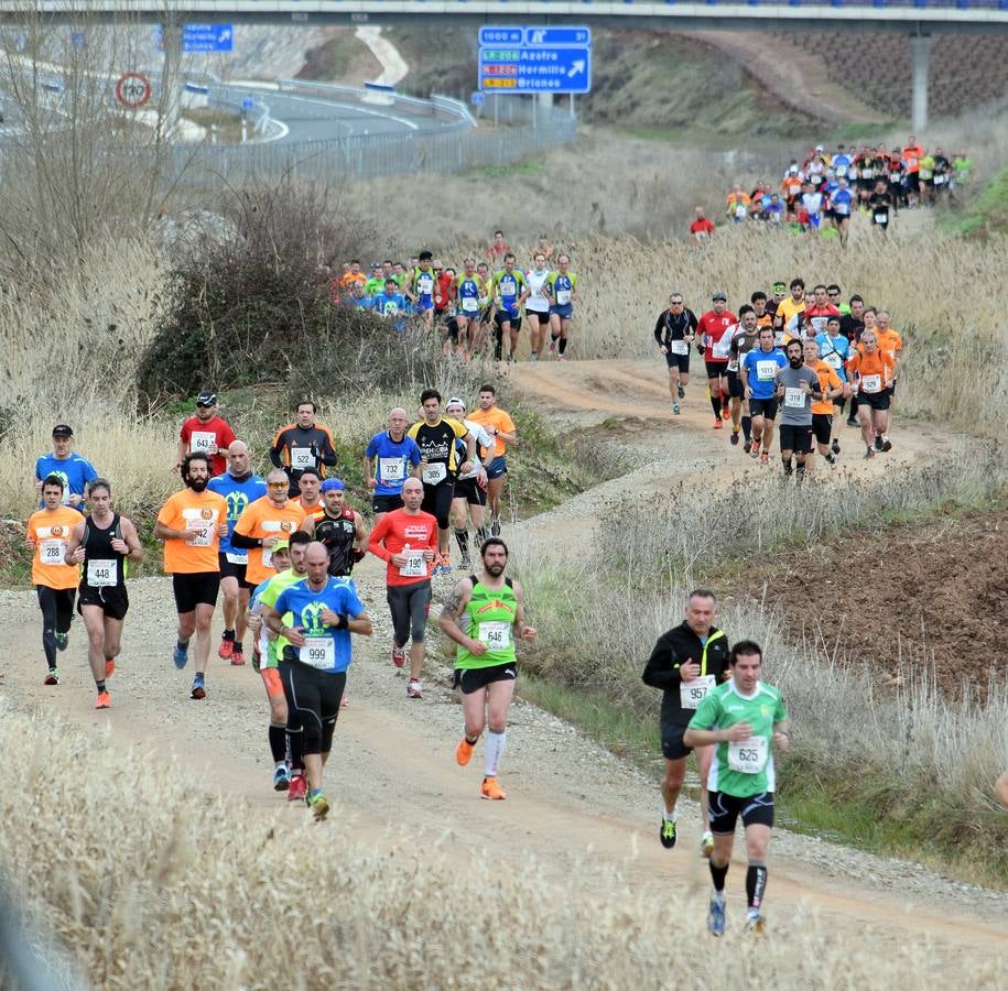 Media Maratón del Camino (III)