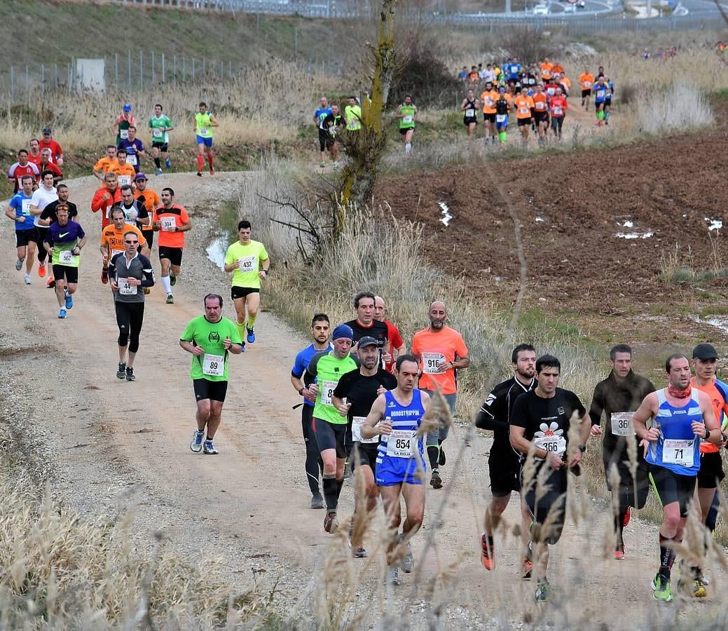 Media Maratón del Camino (III)