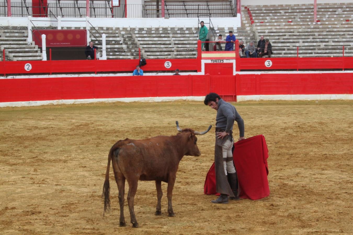 Tentadero de vacas en Alfaro