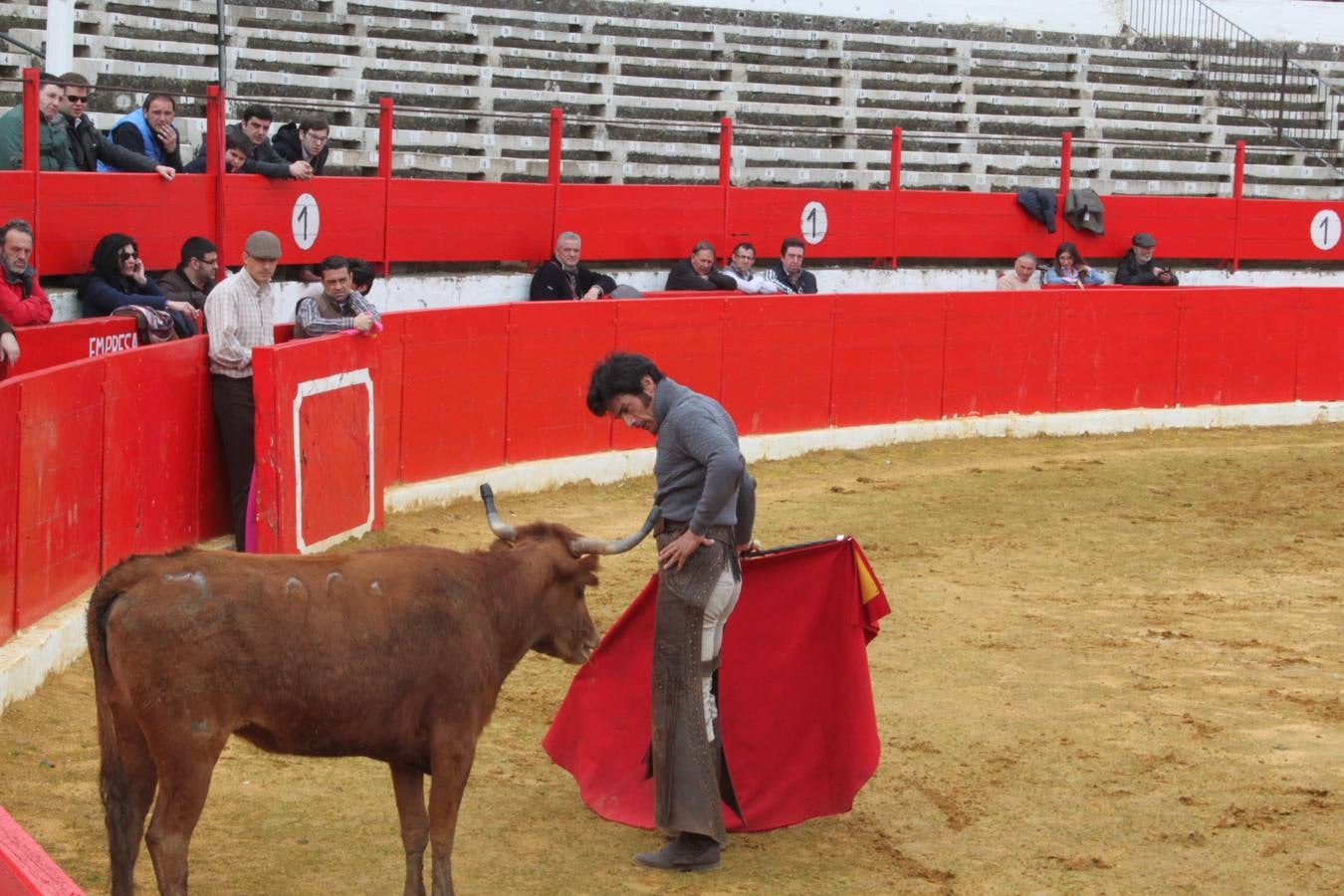 Tentadero de vacas en Alfaro