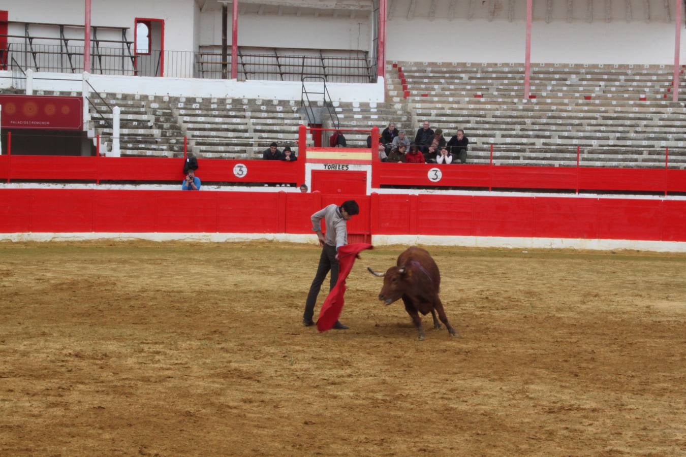 Tentadero de vacas en Alfaro