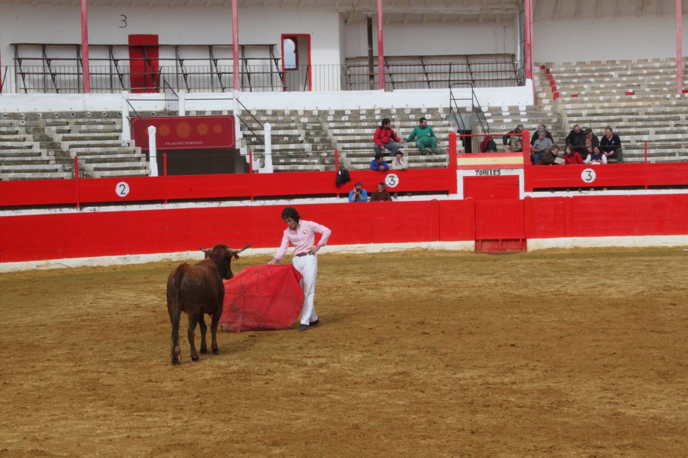 Tentadero de vacas en Alfaro