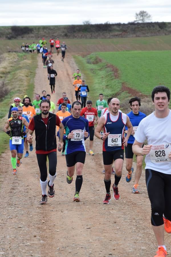 Alberto Alba gana la Media IX Maratón del Camino (I)