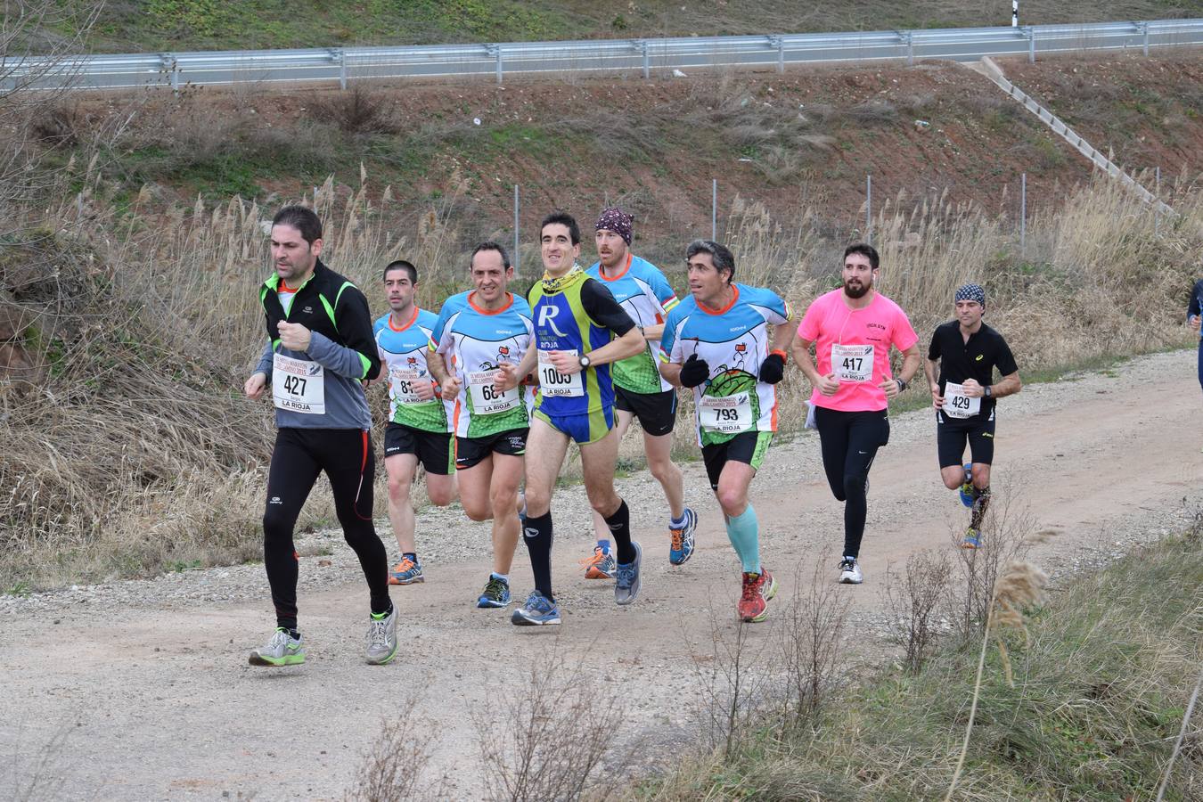 Alberto Alba gana la Media IX Maratón del Camino (I)