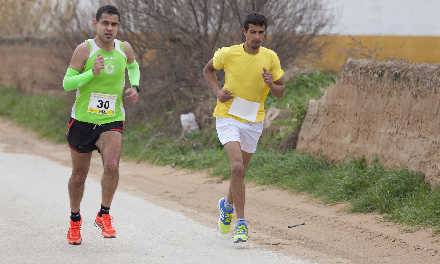 Carrera enoturística en Aldeanueva de Ebro