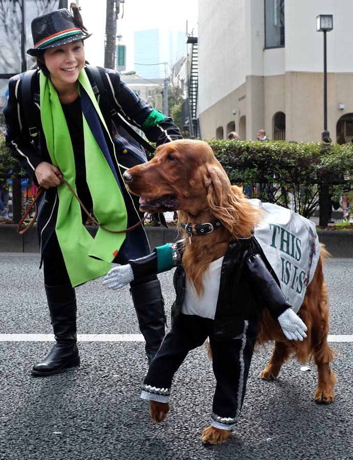 Una mujer japonesa pasea a su perro por las calles de Tokio durante las festividades por el Día de San Patricio.