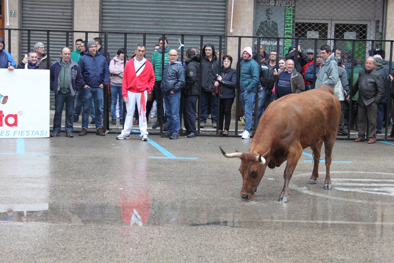 Novillada y vaquillas en Arnedo