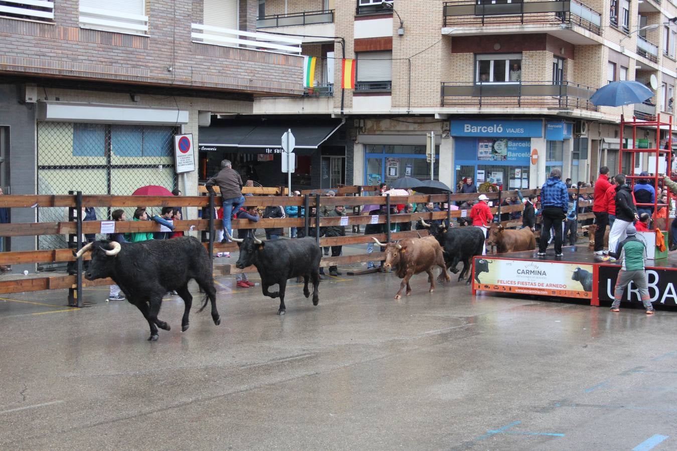 Novillada y vaquillas en Arnedo