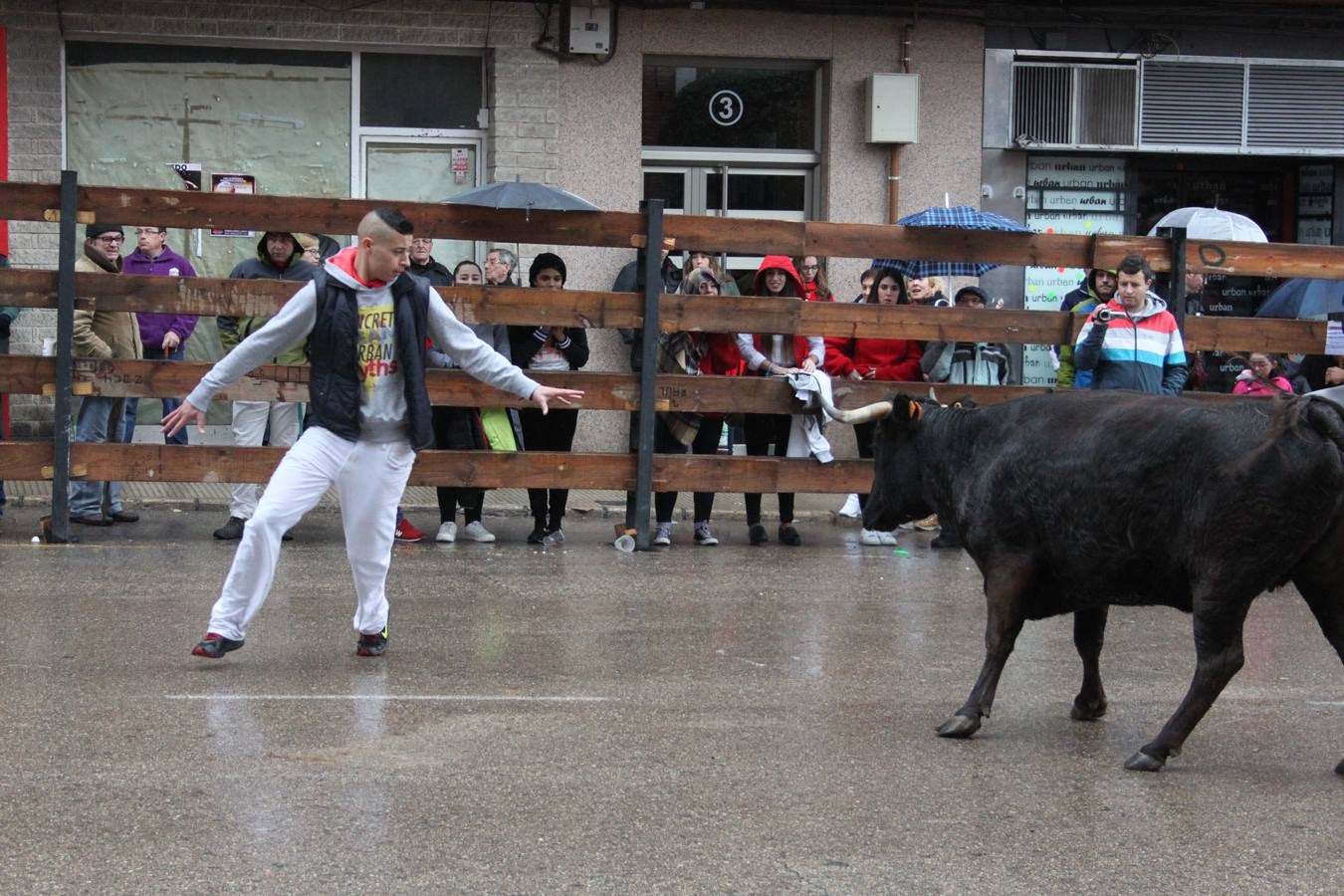 Novillada y vaquillas en Arnedo