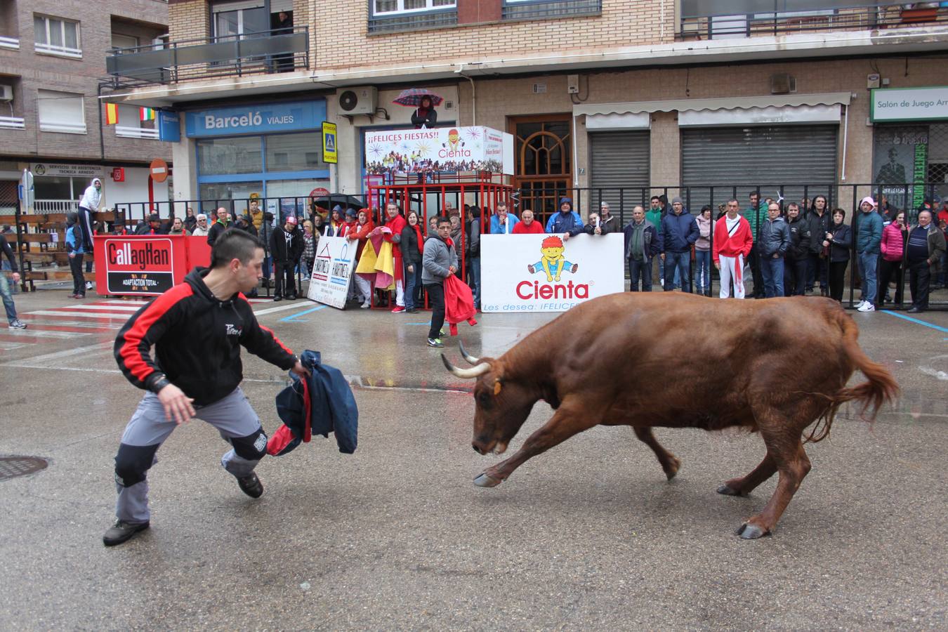 Novillada y vaquillas en Arnedo