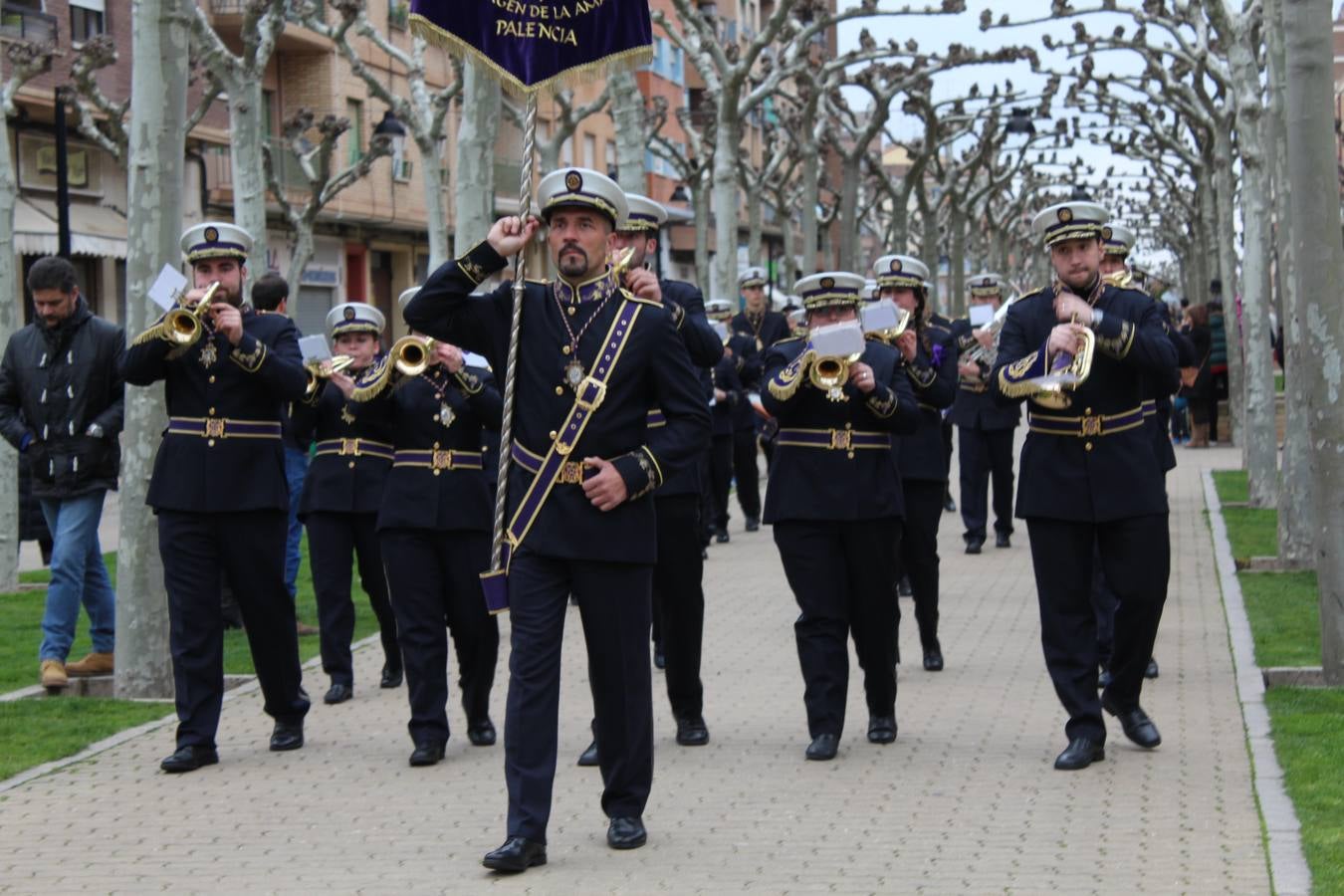 La Concentración de Bandas y Tambores de Calahorra