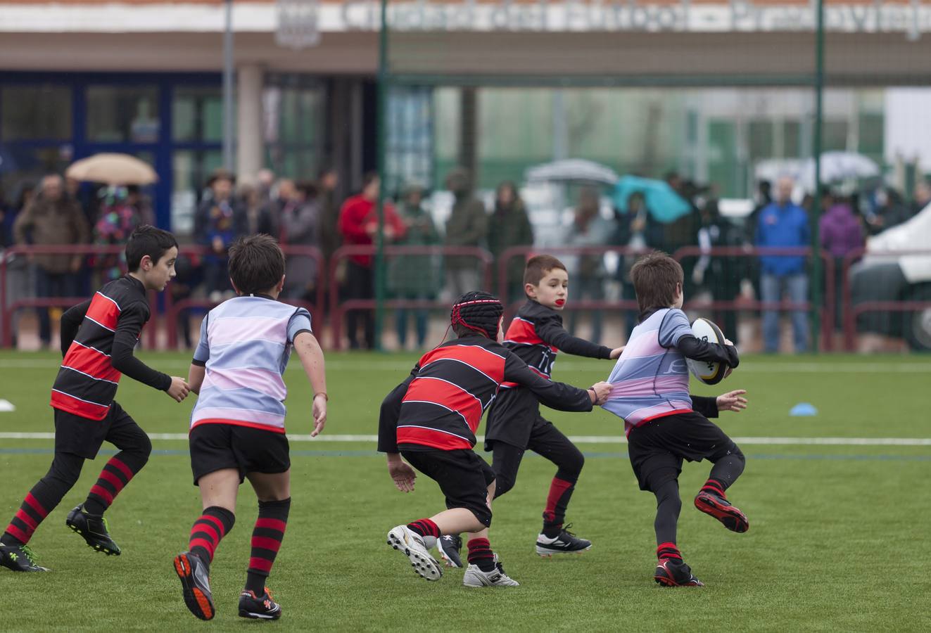 El rugby riojano está de estreno (II)