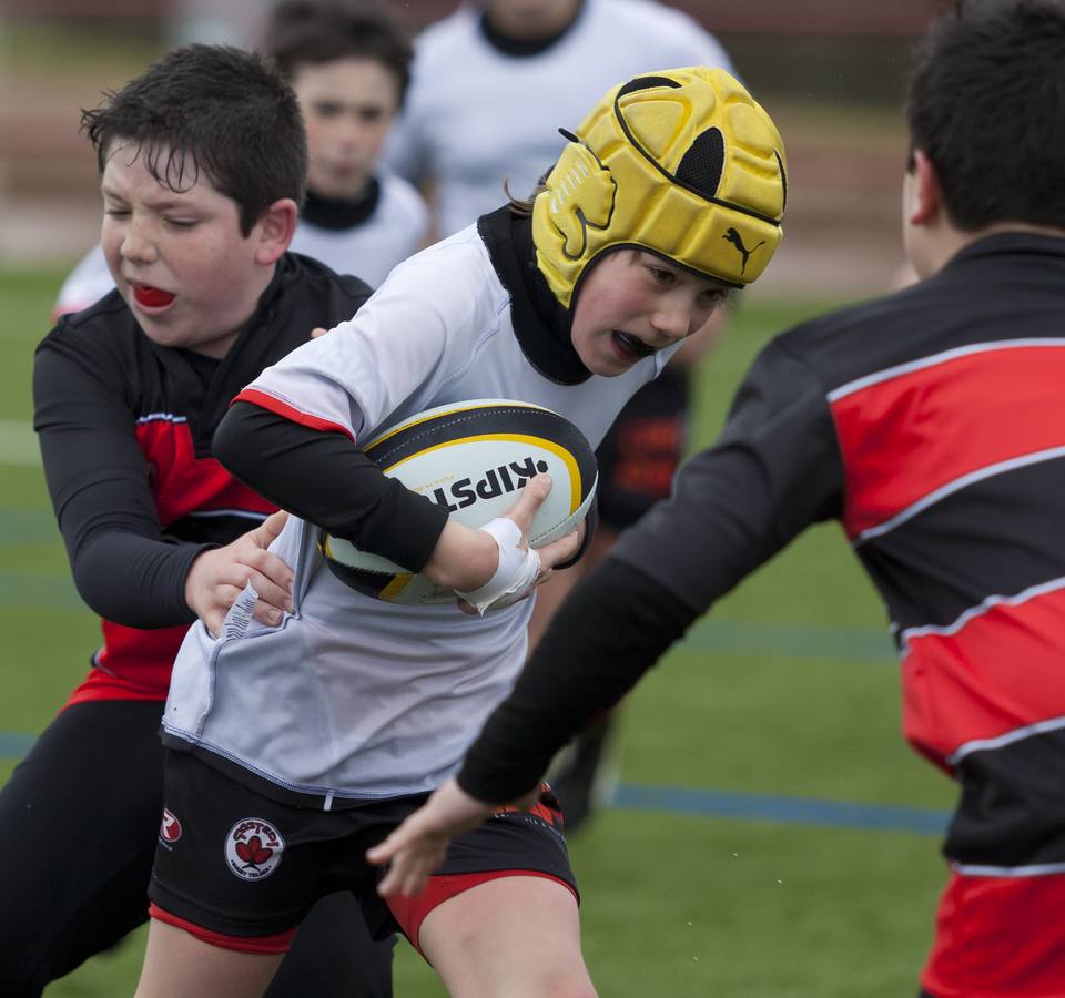 El rugby riojano está de estreno (II)