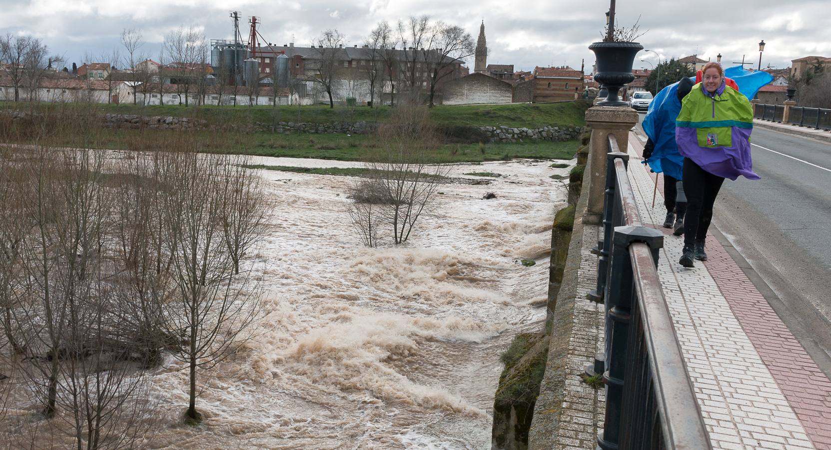 El Oja anega fincas y carreteras en Ojacastro y Santo Domingo