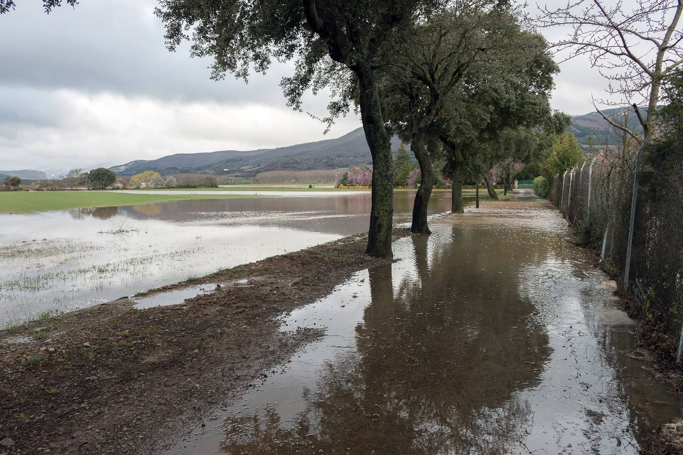 El Oja anega fincas y carreteras en Ojacastro y Santo Domingo