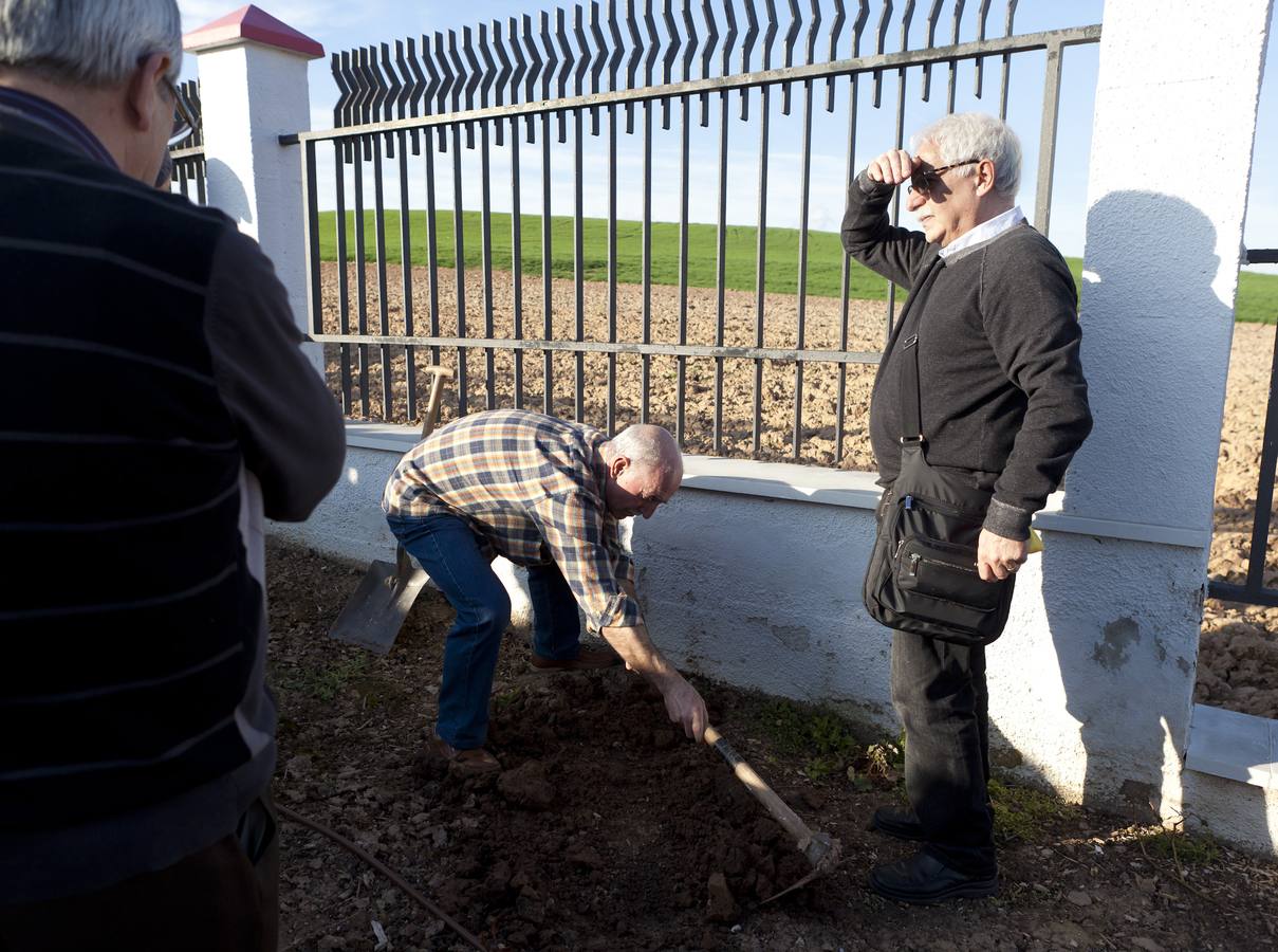 Un campo sembrado de vida