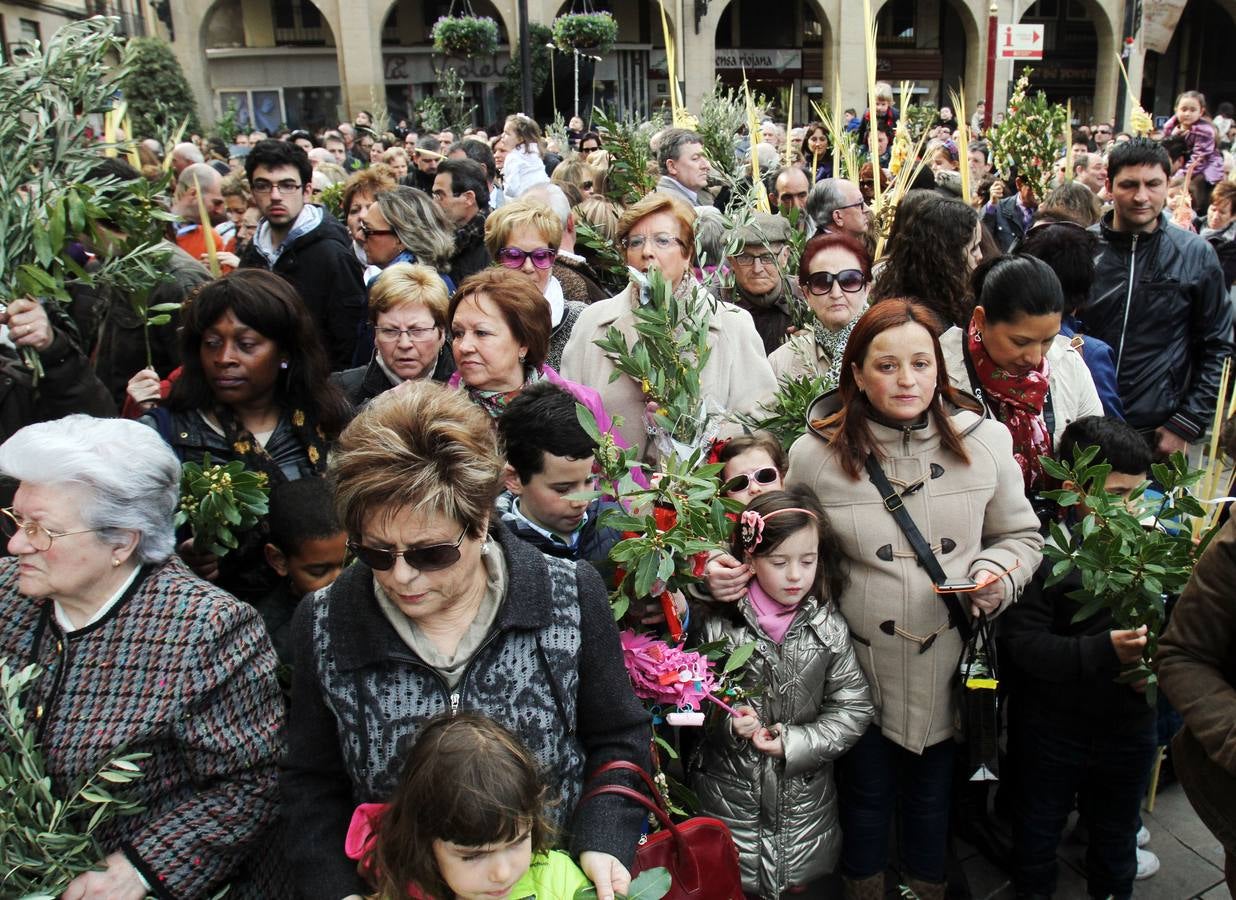 Domingo de Ramos en Logroño