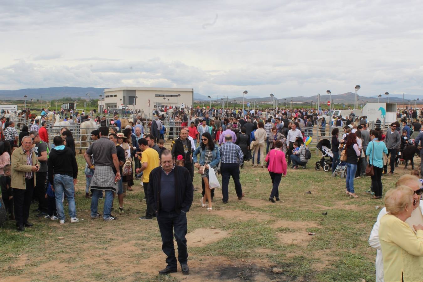 Feria del ganado en Rincón de Soto (I)