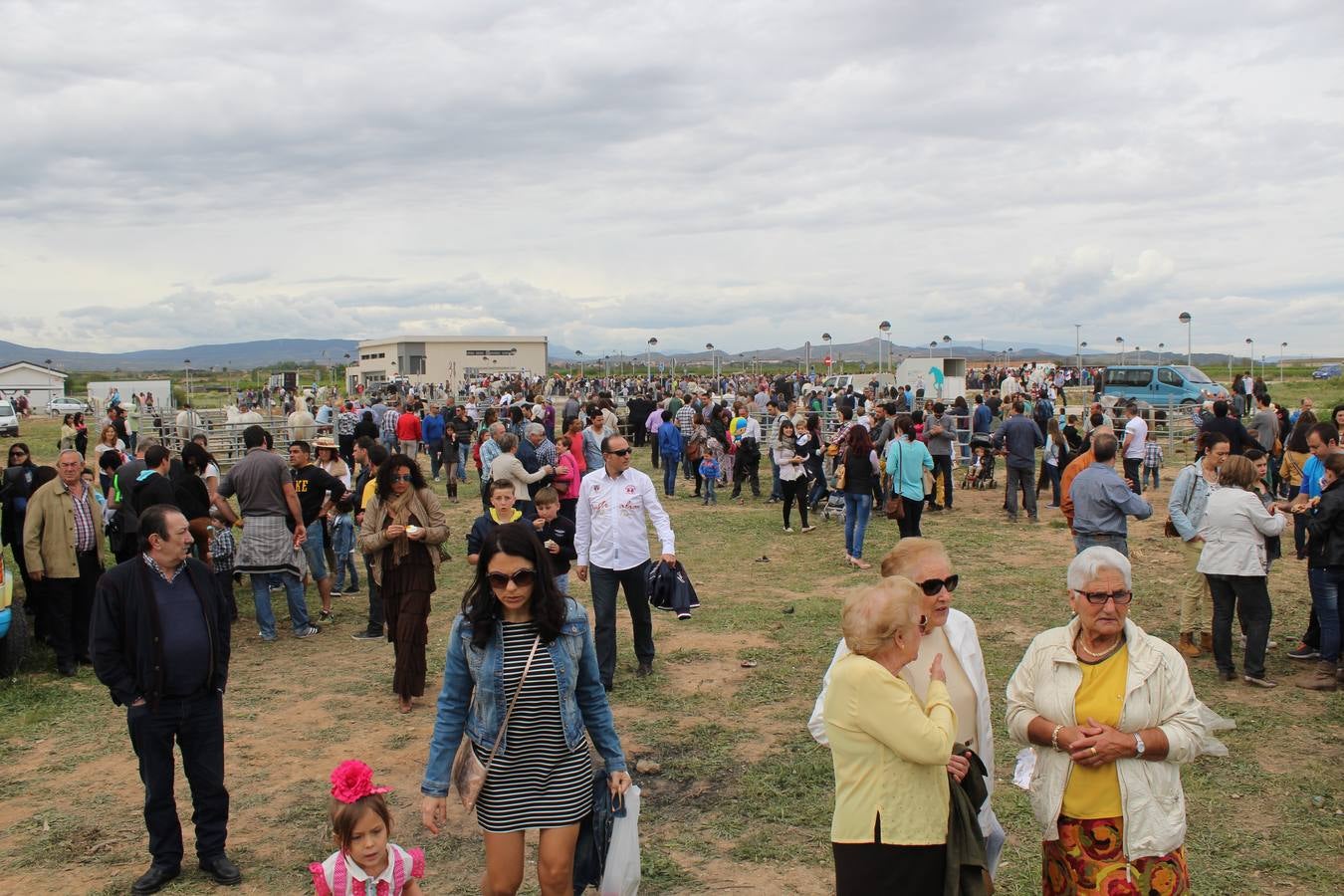 Feria del ganado en Rincón de Soto (I)