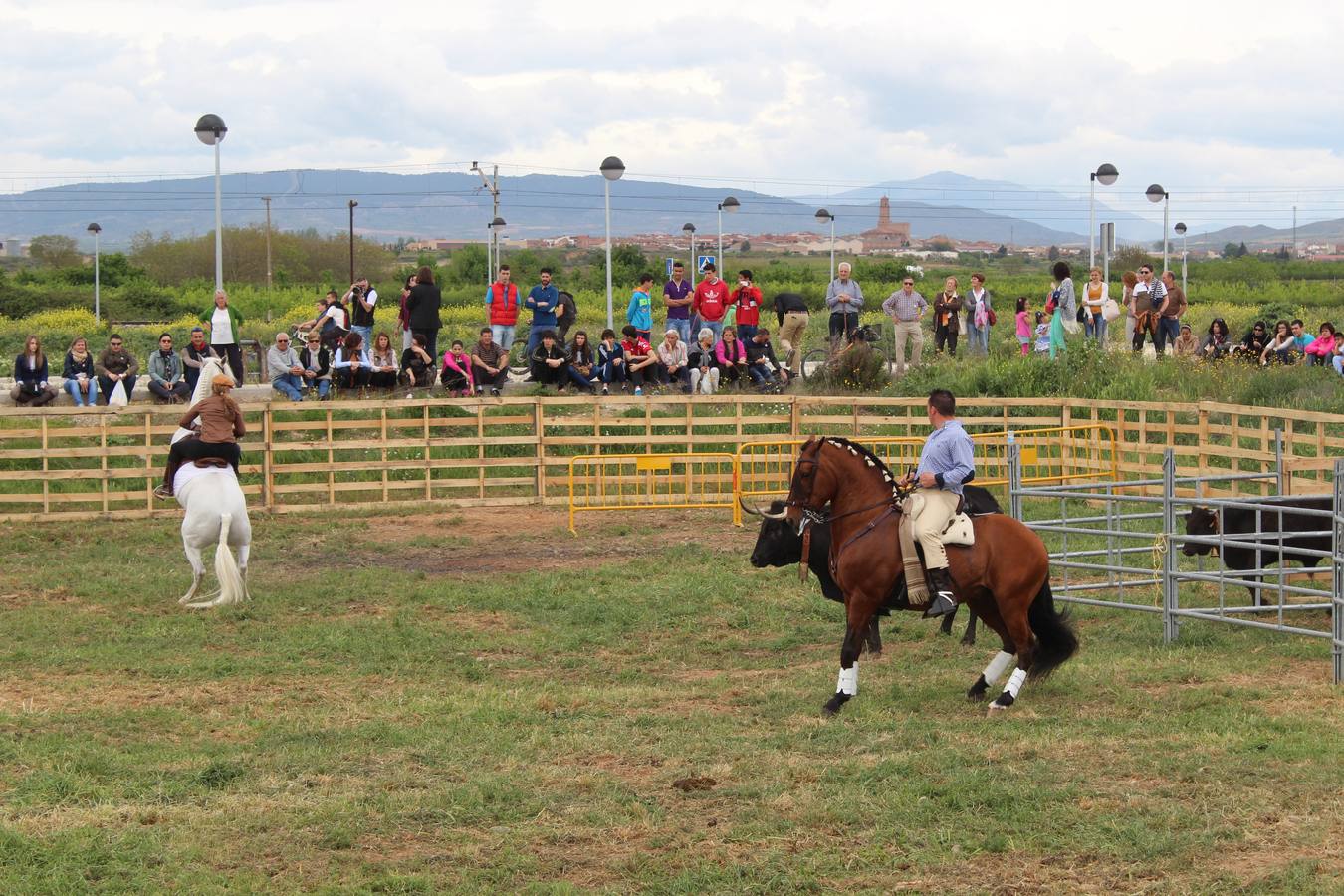 Feria del ganado en Rincón de Soto (I)