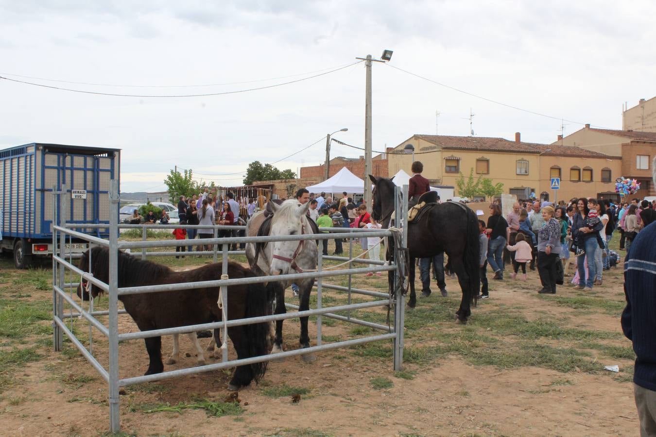 Feria del ganado de Rincón de Soto (II)