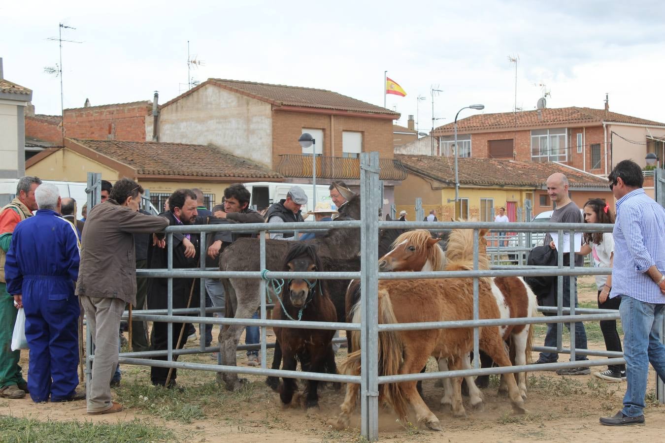 Feria del ganado de Rincón de Soto (II)