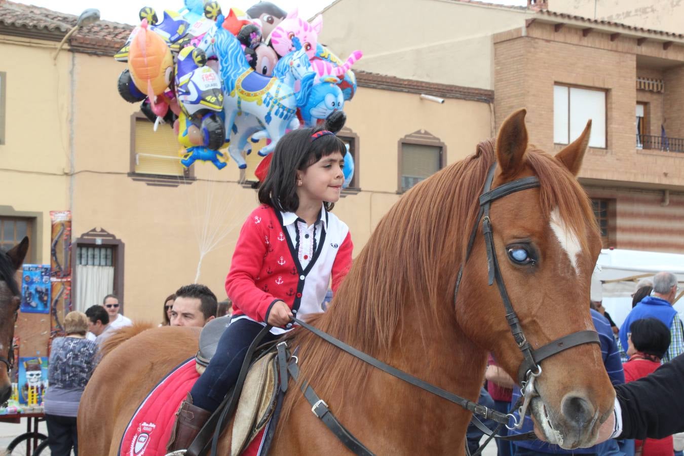 Feria del ganado de Rincón de Soto (II)