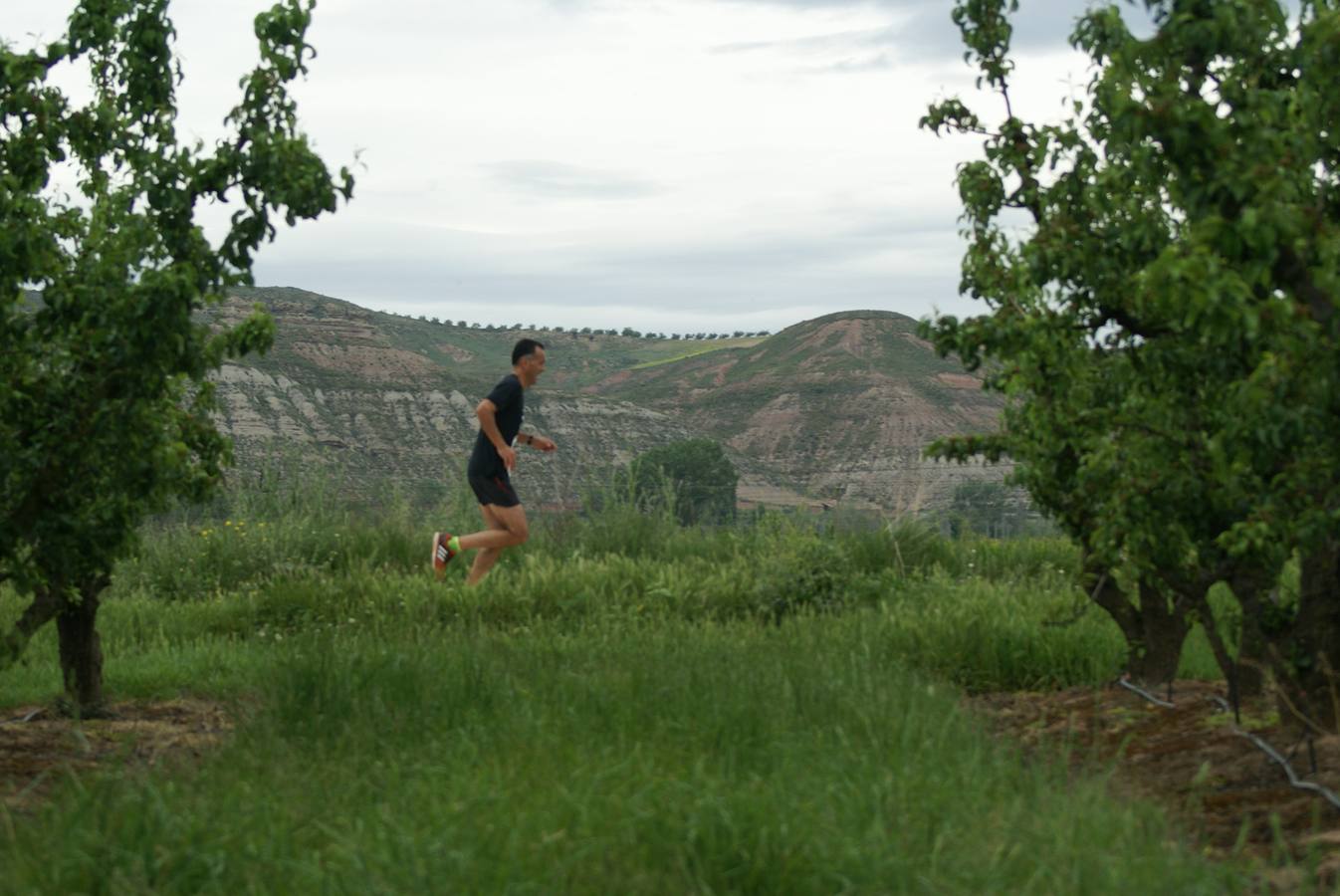 Novena edición de la carrera popular de montaña Salto de Aradón