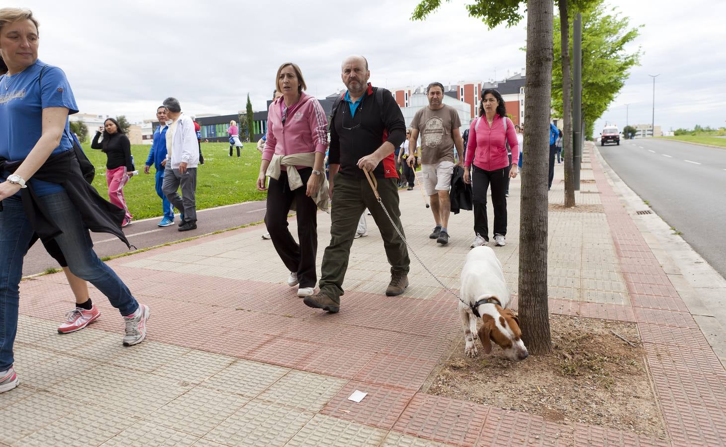 Unas 1.300 personas participan en el Paseo Saludable