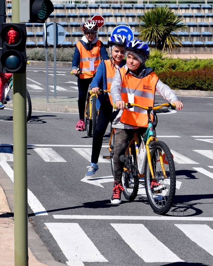 Educando en la Seguridad Vial