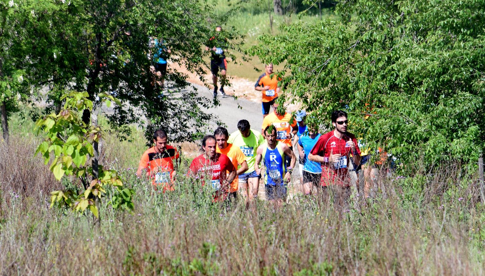 Carrera El Arco: Adultos