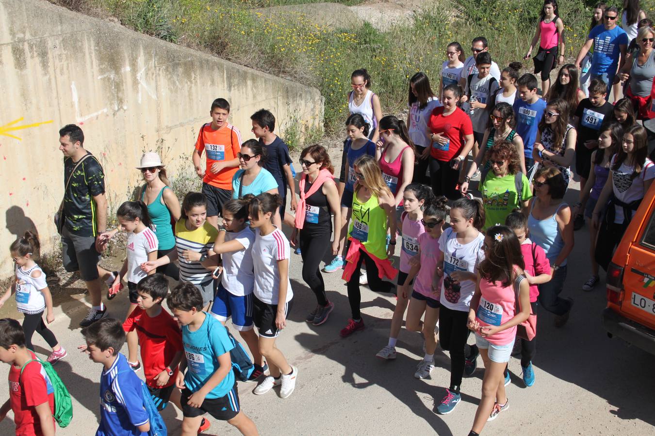 XVII Marcha Solidaria de Alfaro