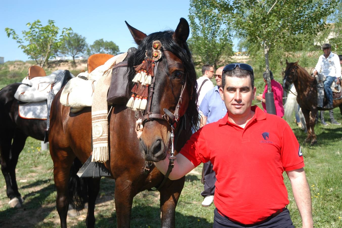 Caballos, carros y rebujito