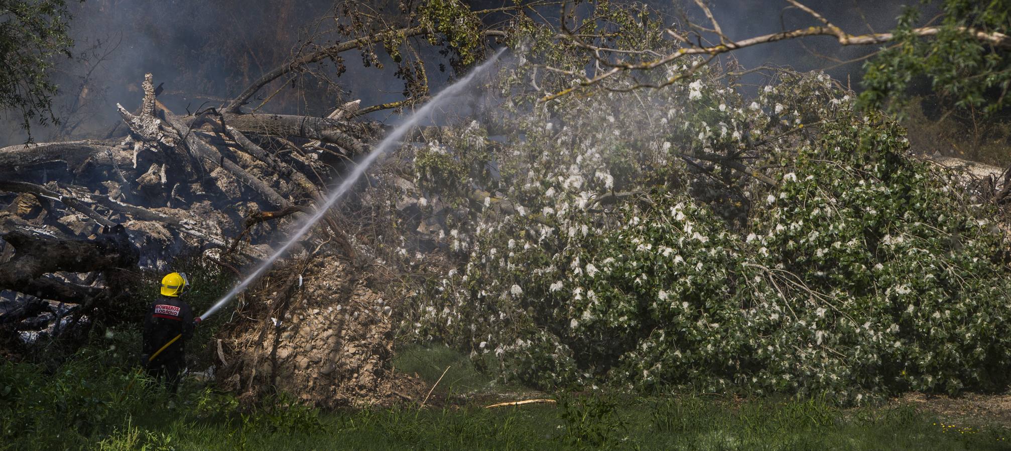 La Rioja disfruta y sufre el repentino calor