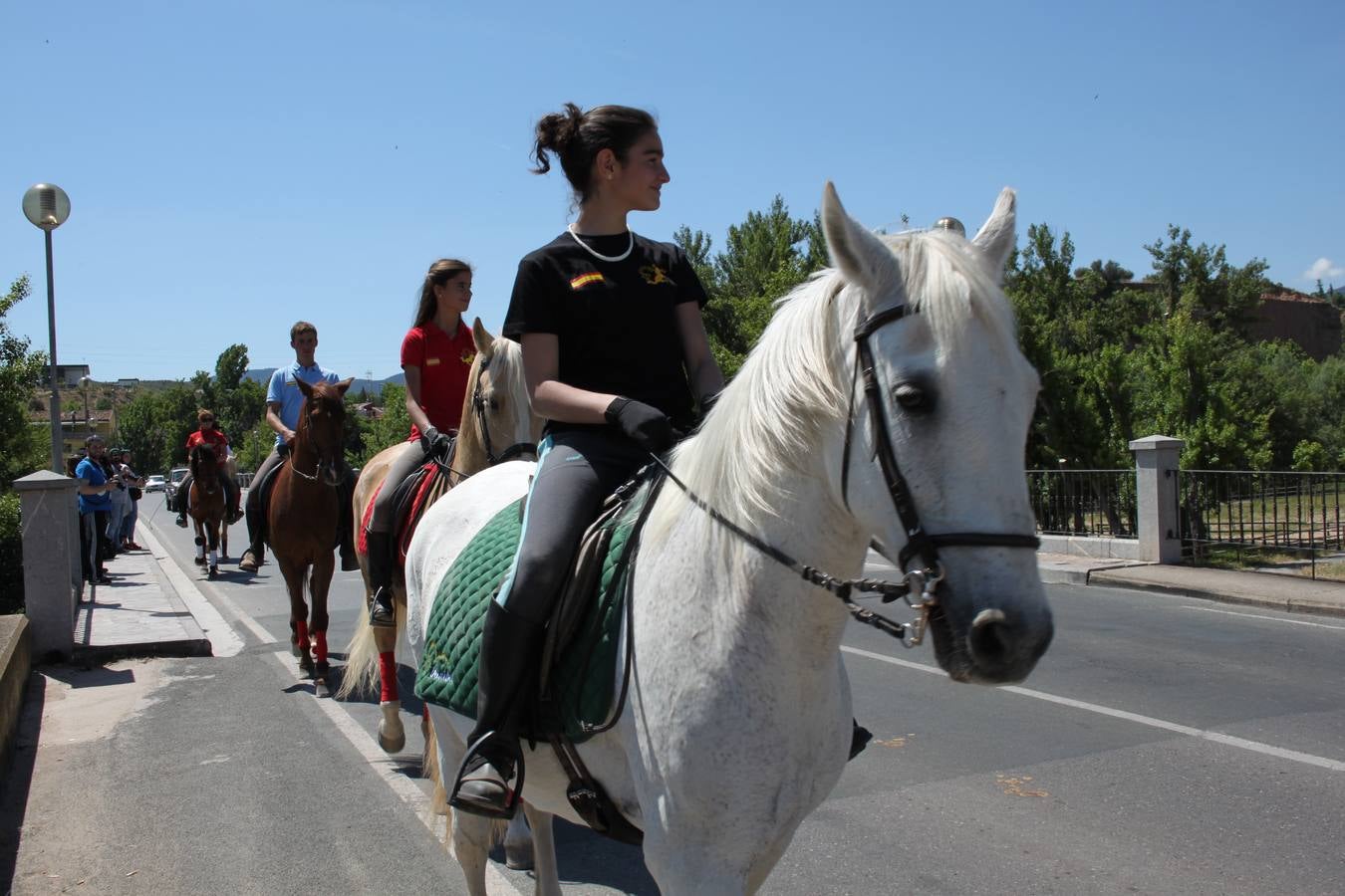 Fiesta de la trashumancia en Arnedo