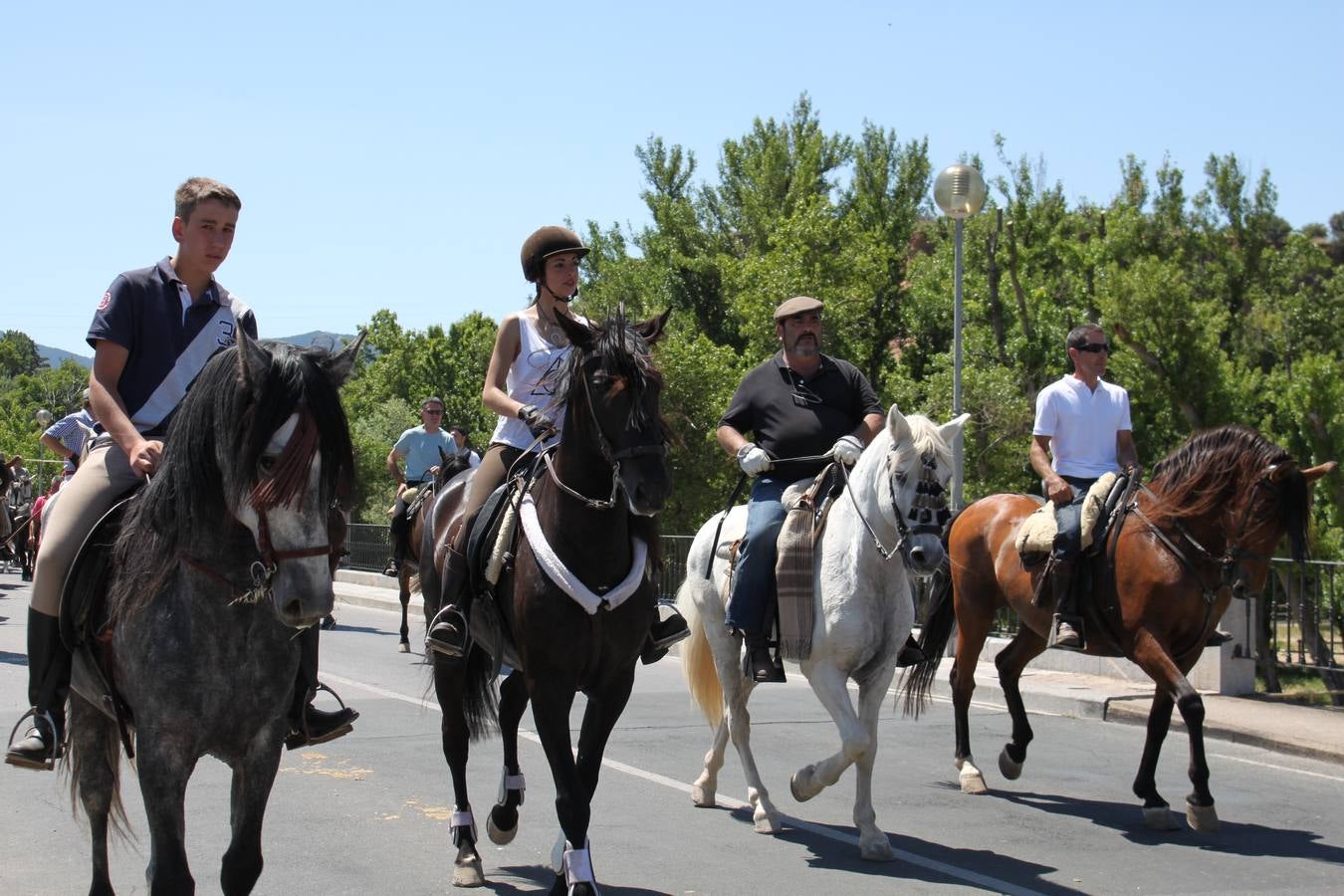 Fiesta de la trashumancia en Arnedo