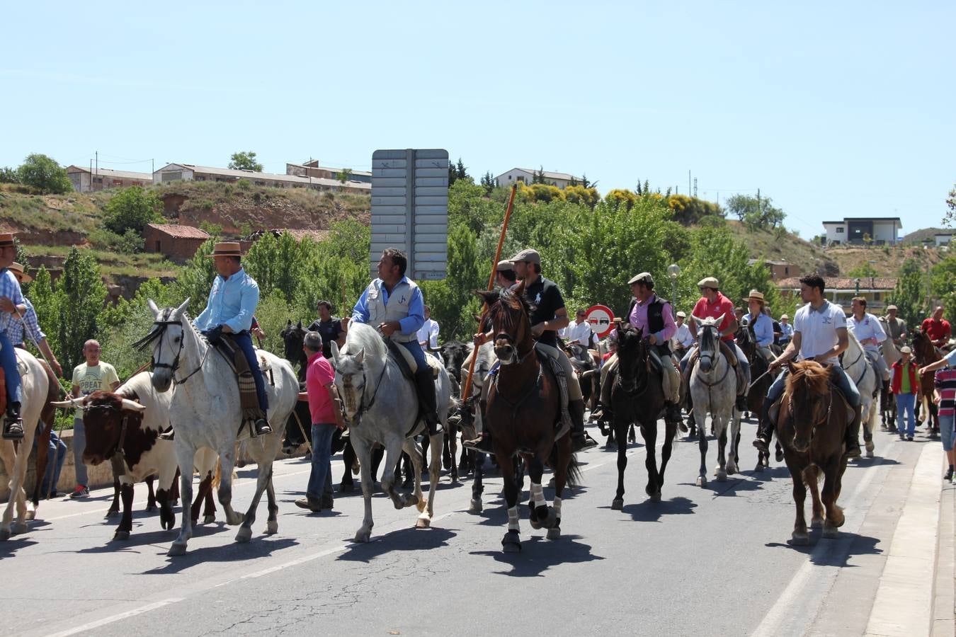 Fiesta de la trashumancia en Arnedo