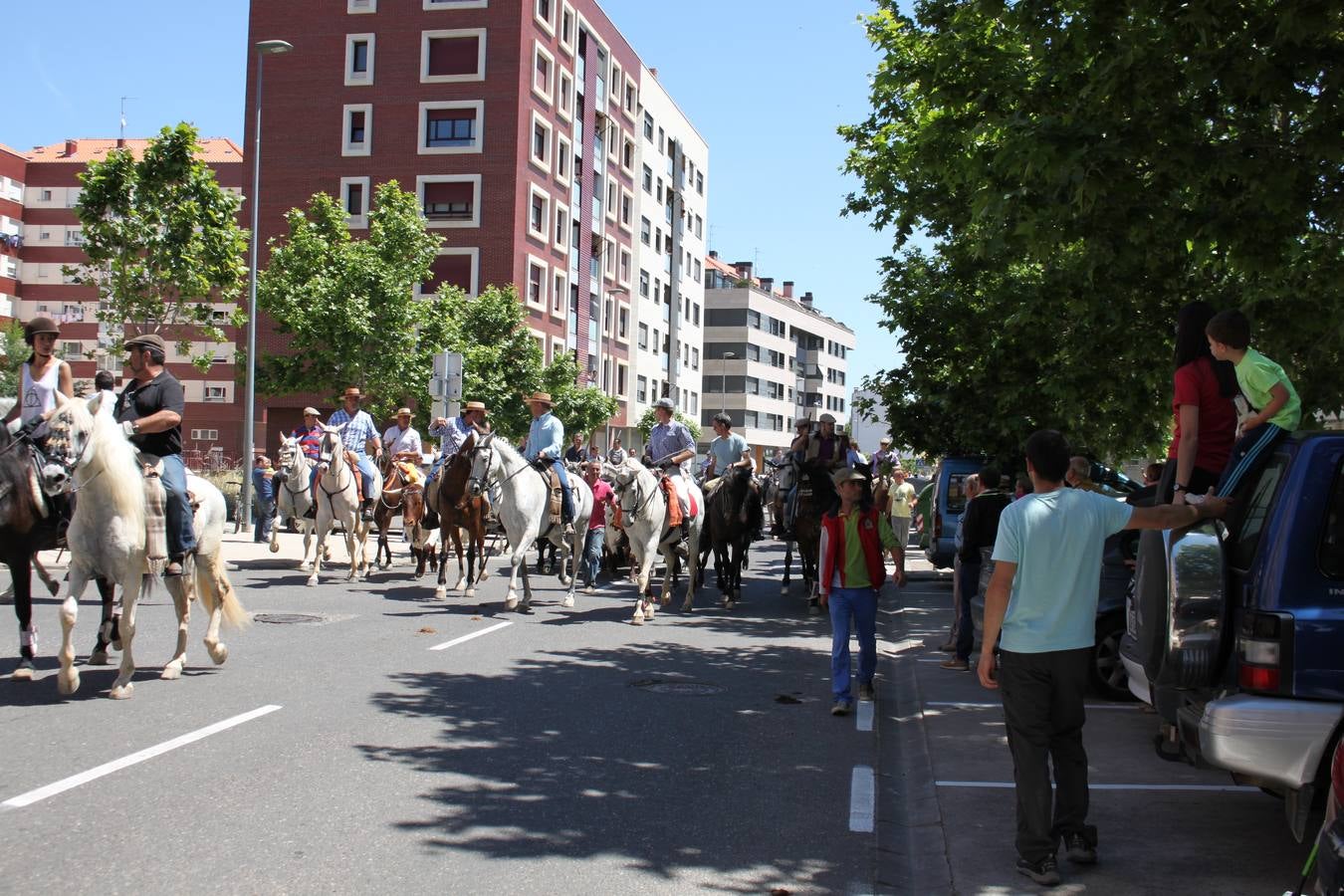 Fiesta de la trashumancia en Arnedo