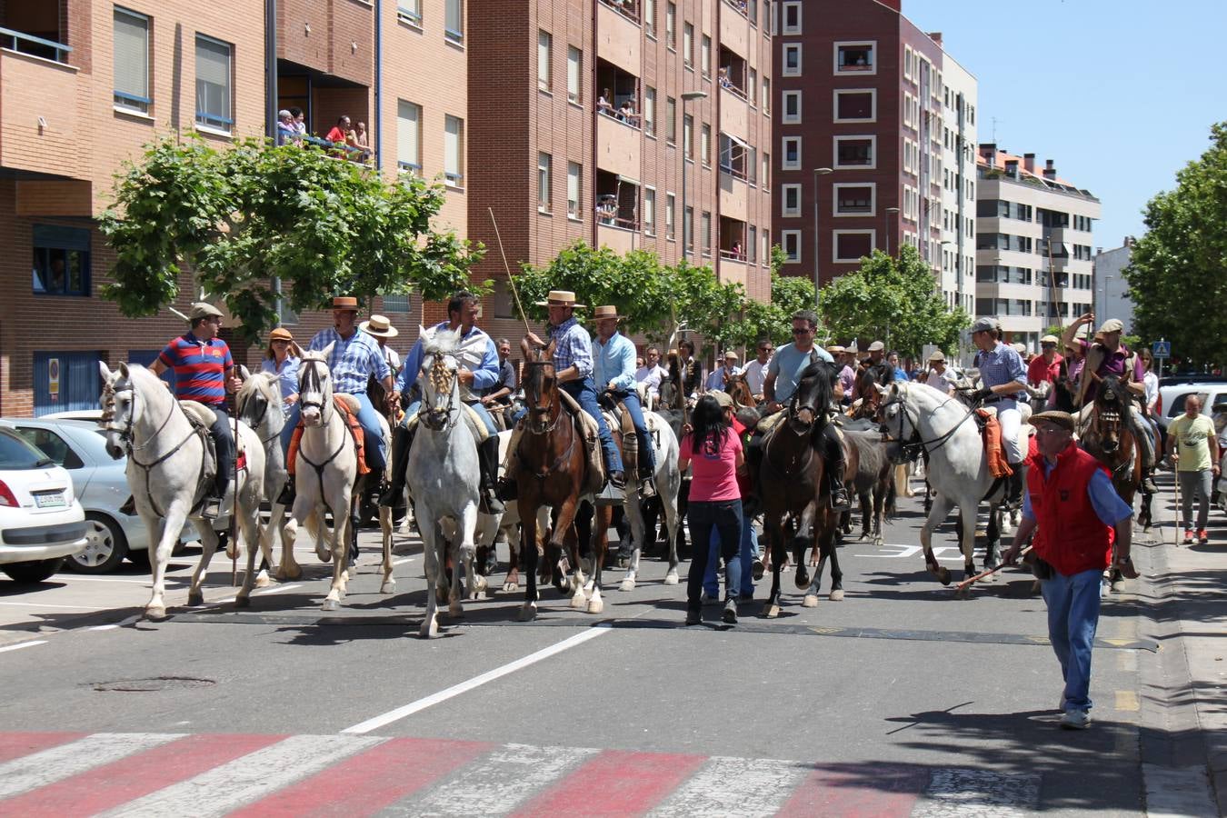 Fiesta de la trashumancia en Arnedo