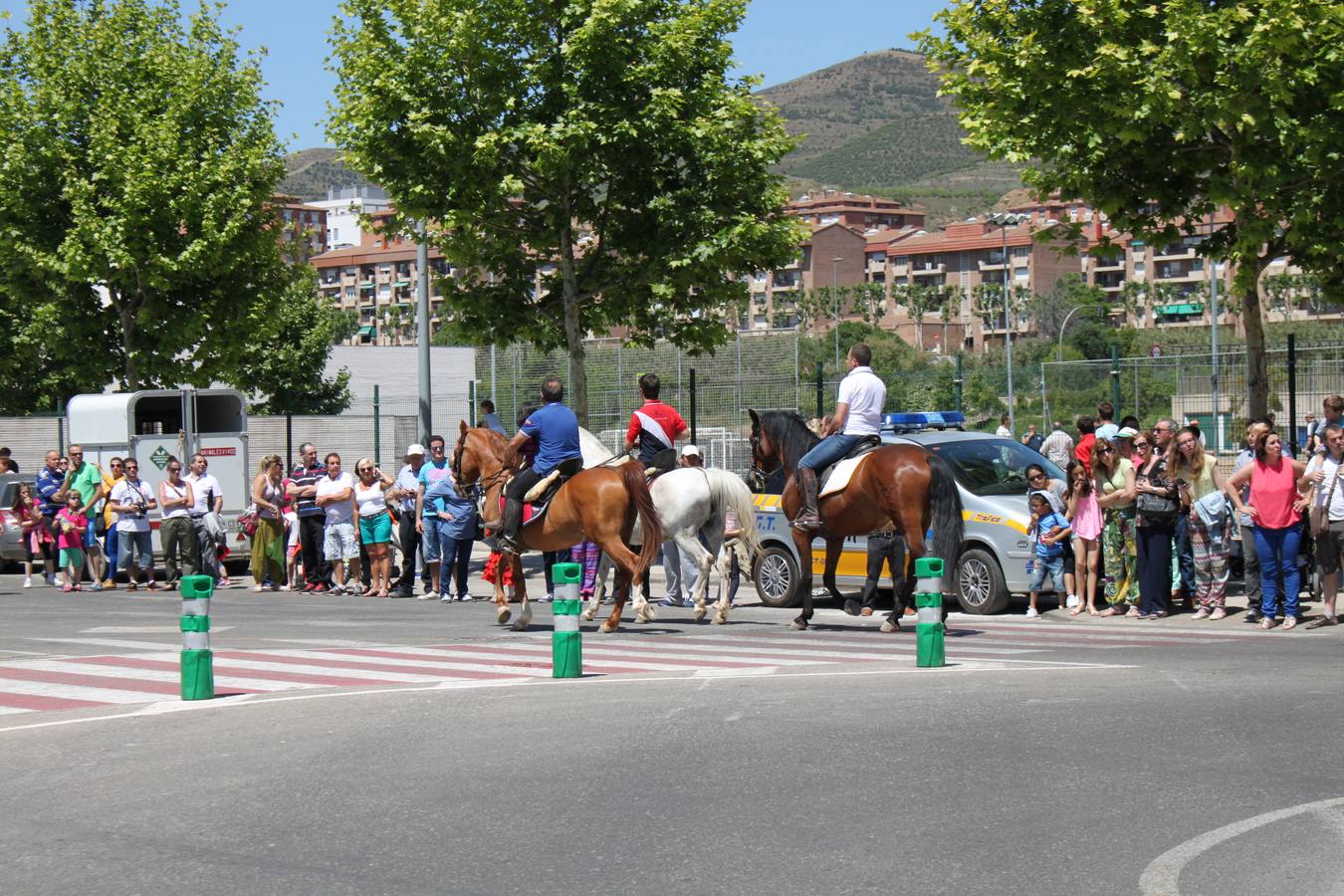 Fiesta de la trashumancia en Arnedo