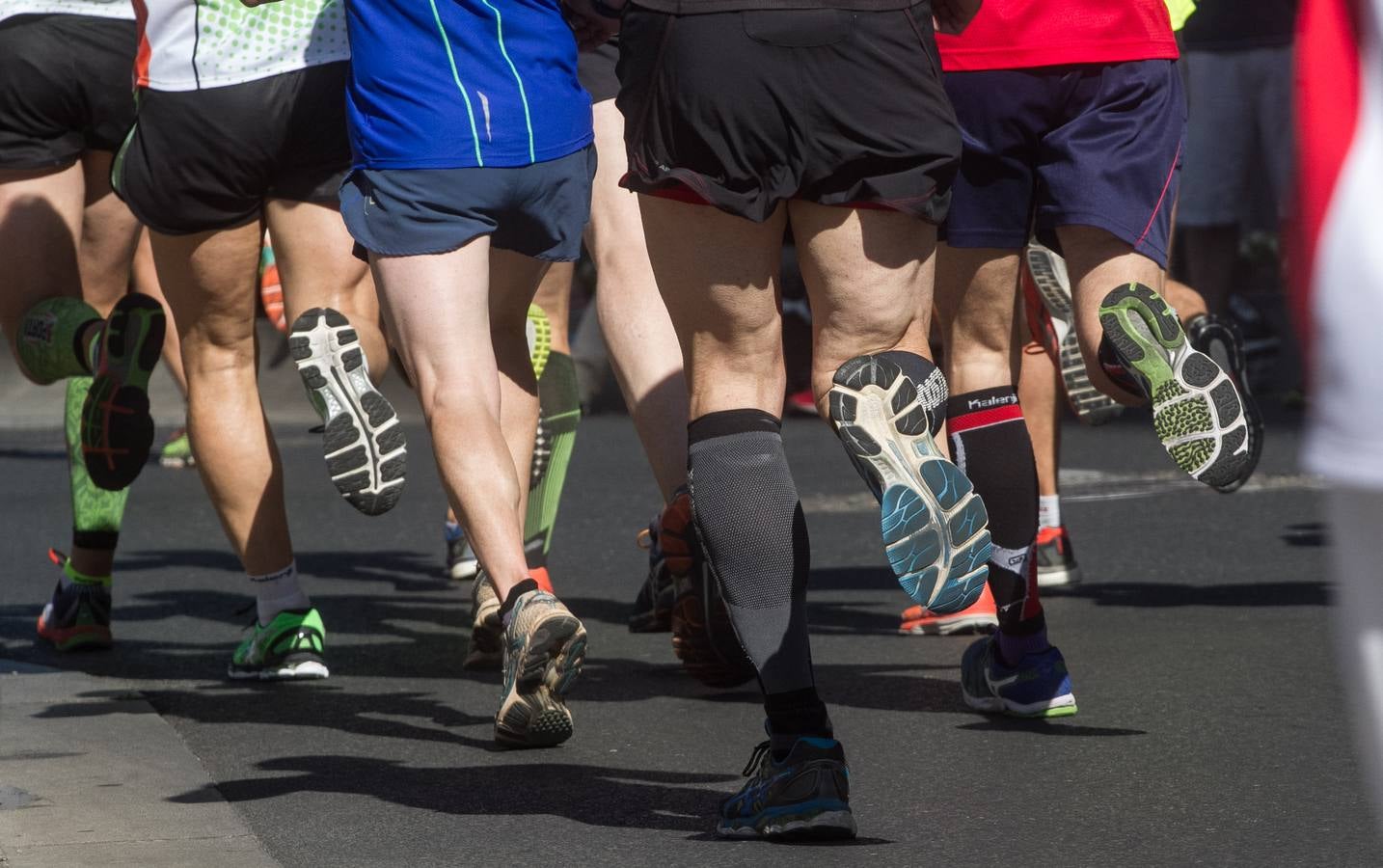 Media Maratón de La Rioja: La salida y la carrera por las calles logroñesas