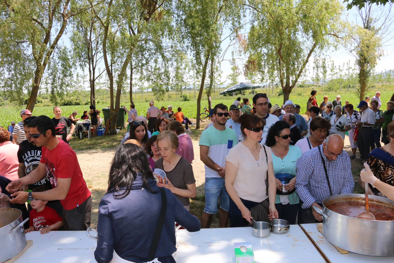 Romería a la ermita de Las Abejas en Santo Domingo