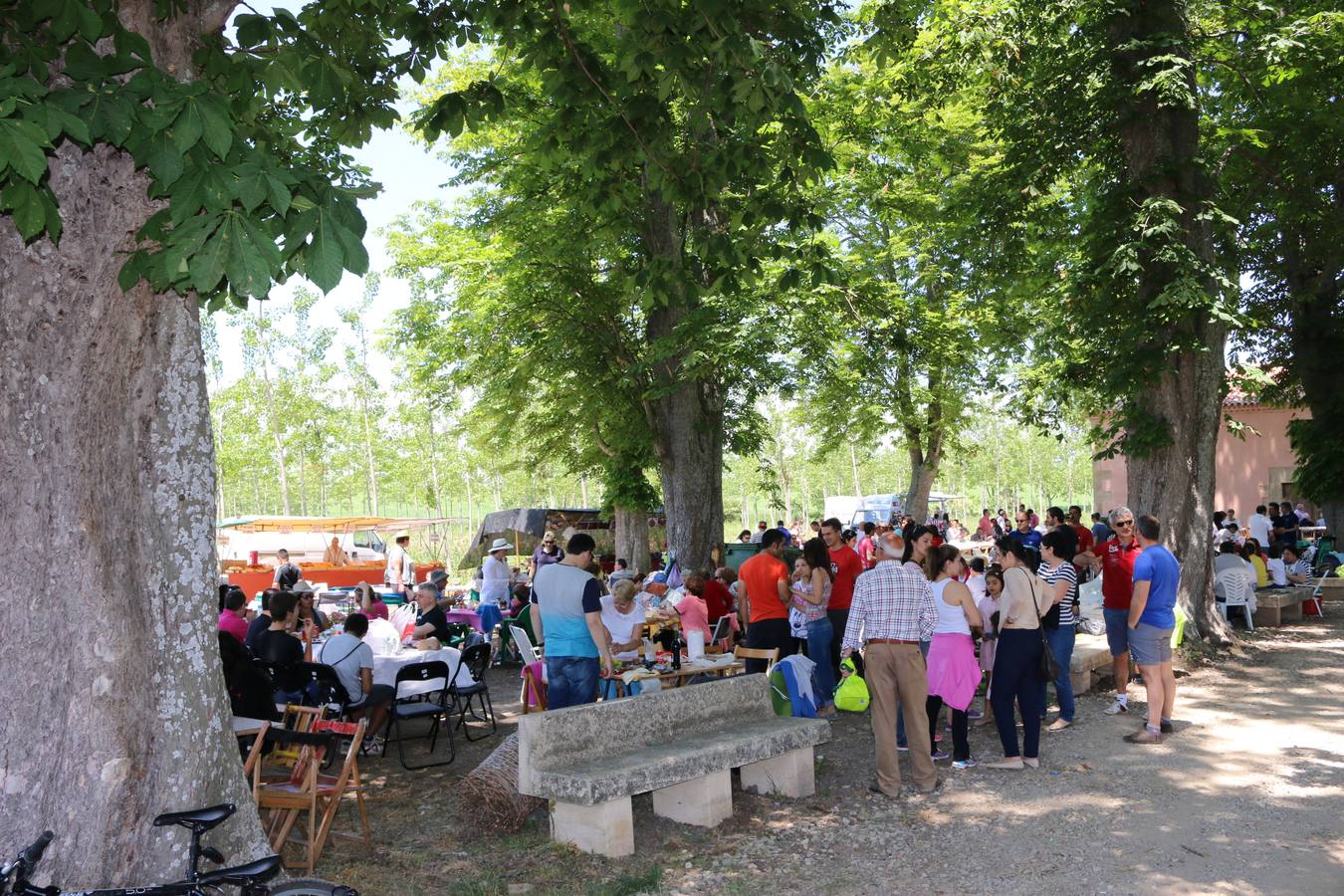 Romería a la ermita de Las Abejas en Santo Domingo