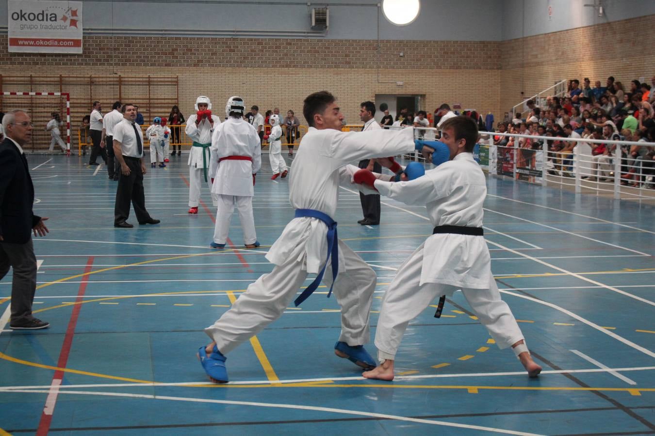 XII Campeonato de España de Karate Wuko en Alfaro