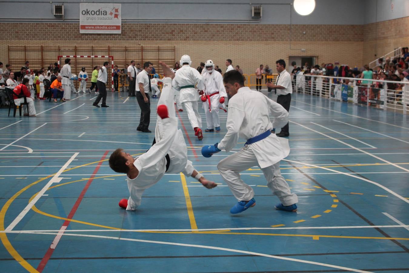 XII Campeonato de España de Karate Wuko en Alfaro