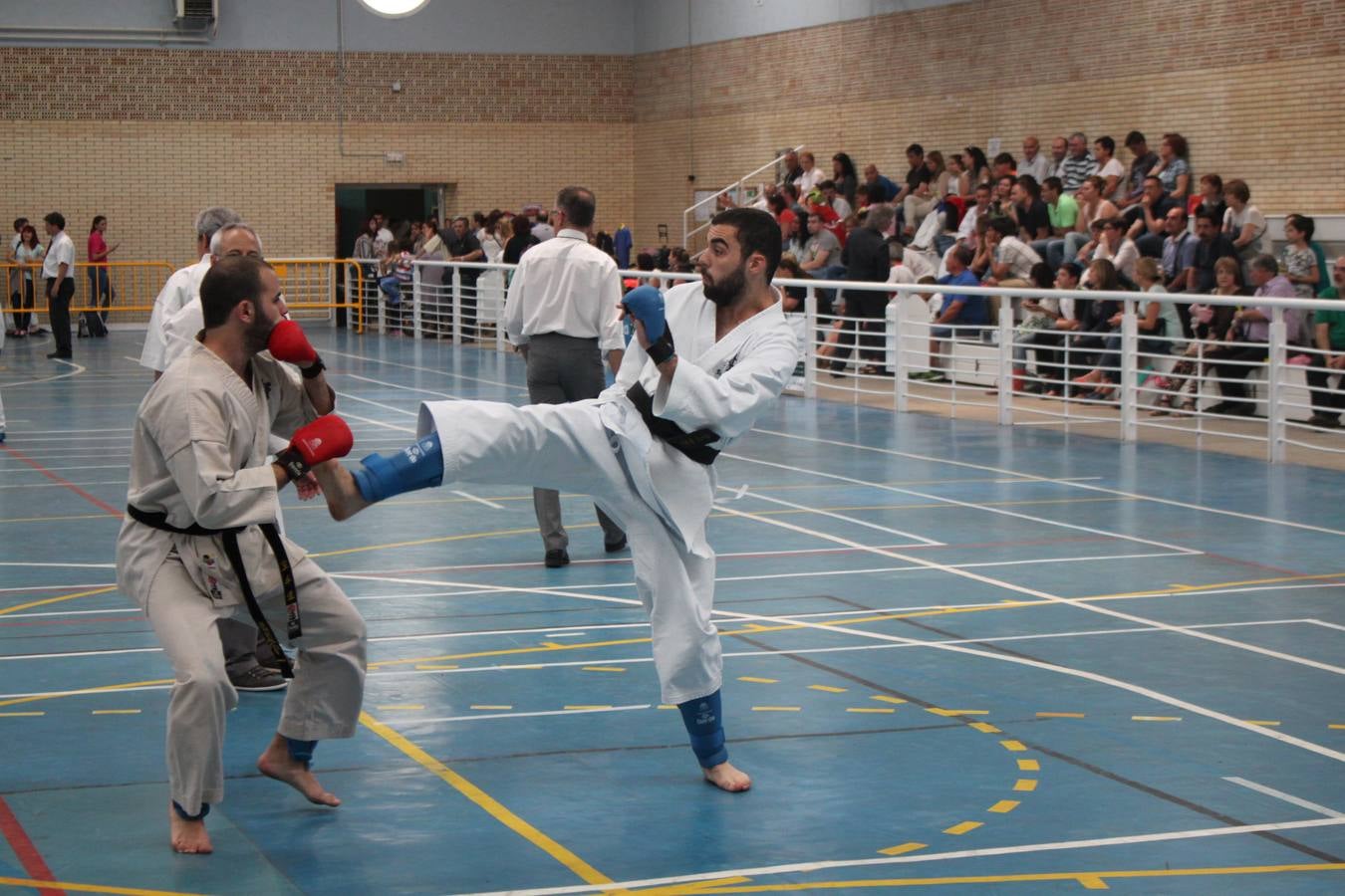 XII Campeonato de España de Karate Wuko en Alfaro