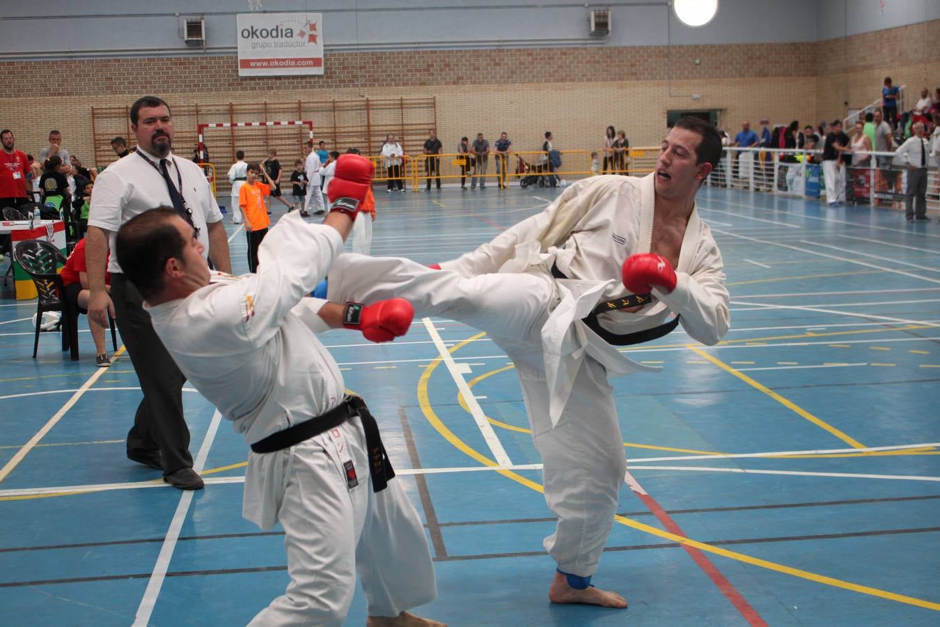 XII Campeonato de España de Karate Wuko en Alfaro