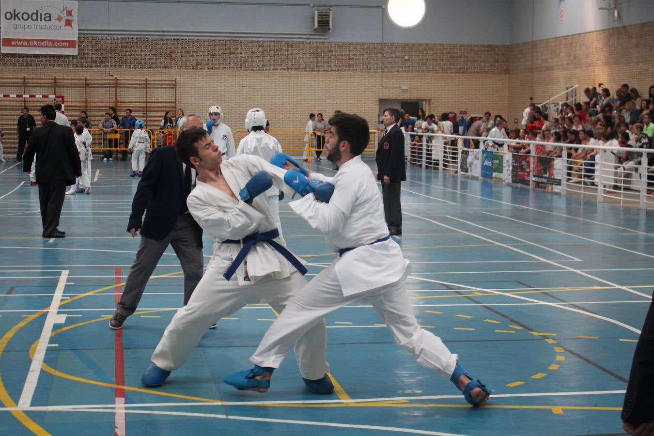 XII Campeonato de España de Karate Wuko en Alfaro